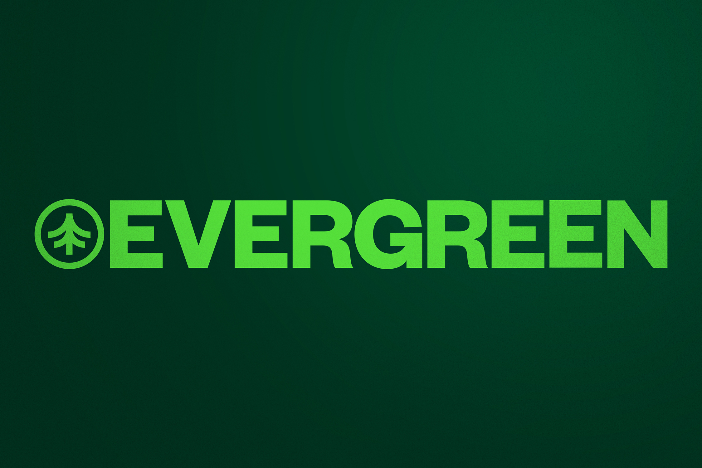 DS_Work_Evergreen_Logo