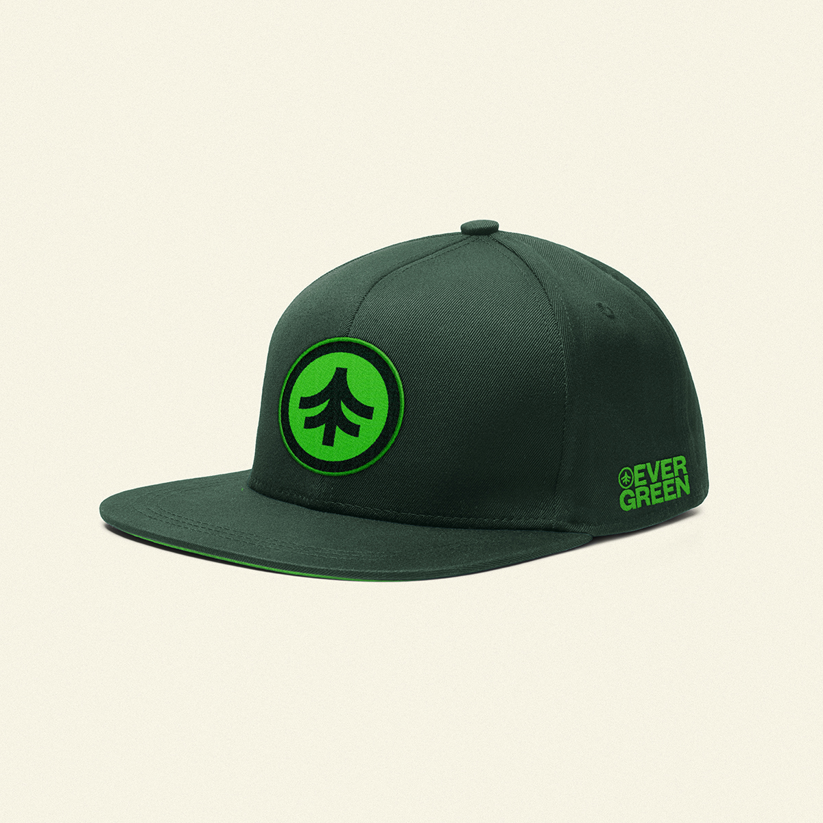 DS_Work_Evergreen_Snapback