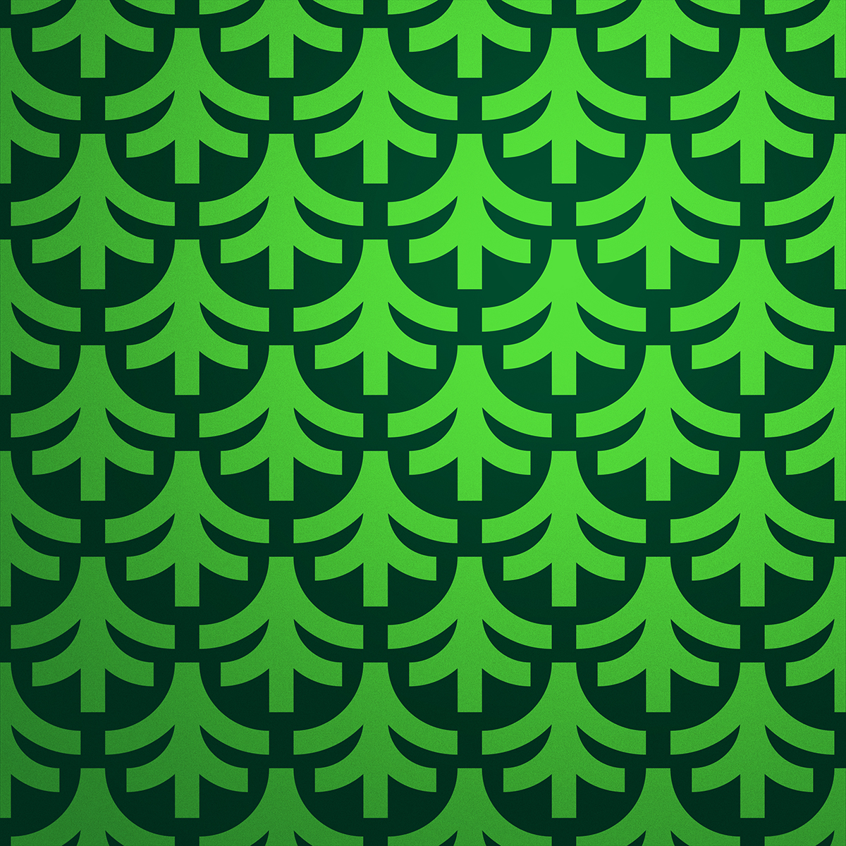 Evergreen_Graphic_Pattern_1