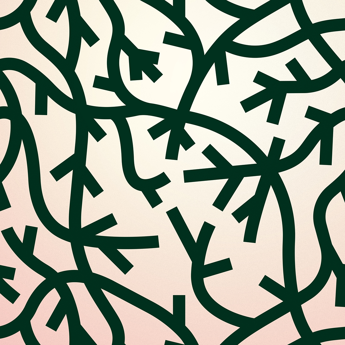 Evergreen_Graphic_Pattern_5